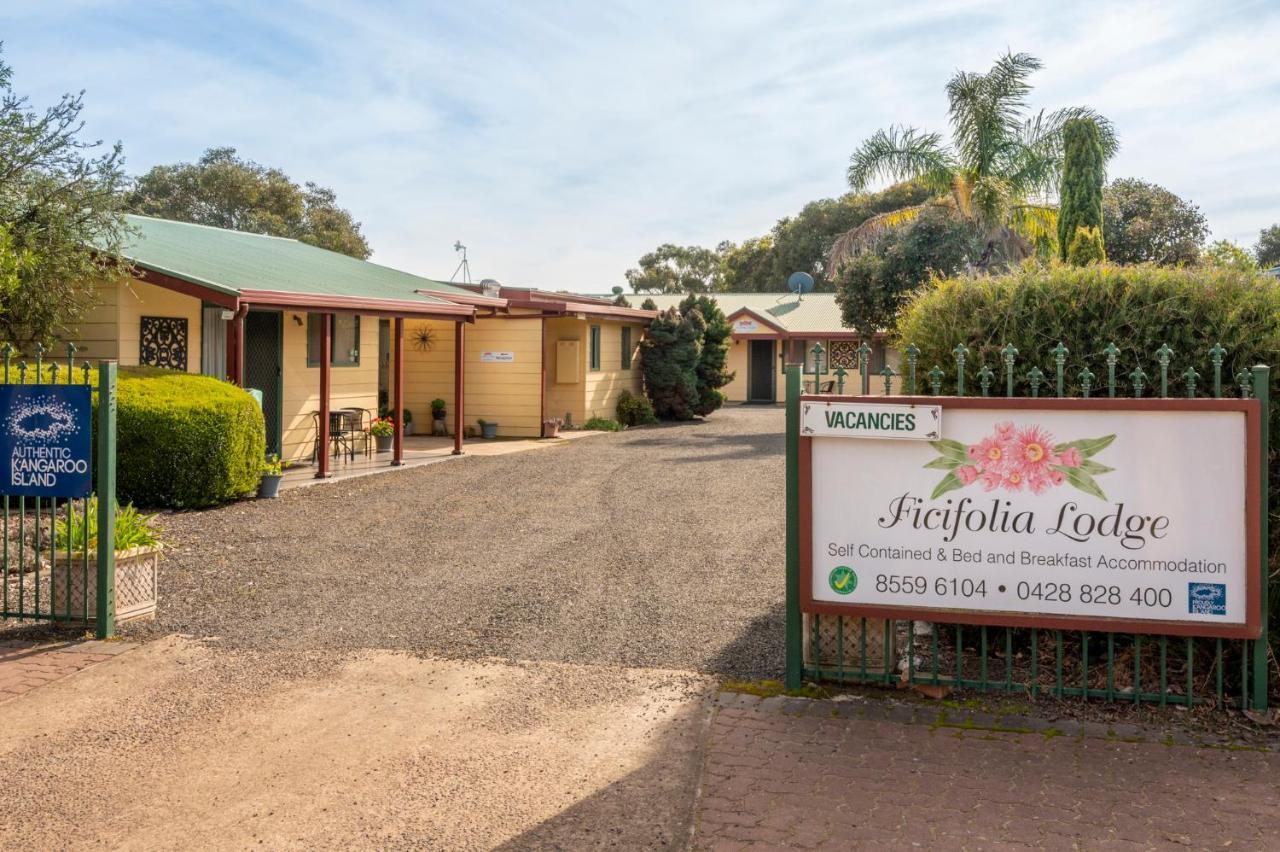 Ficifolia Lodge Parndana Bagian luar foto