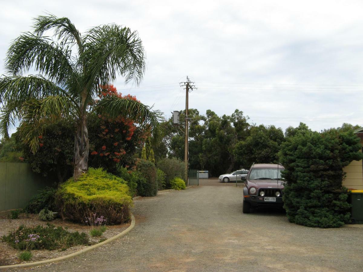 Ficifolia Lodge Parndana Bagian luar foto